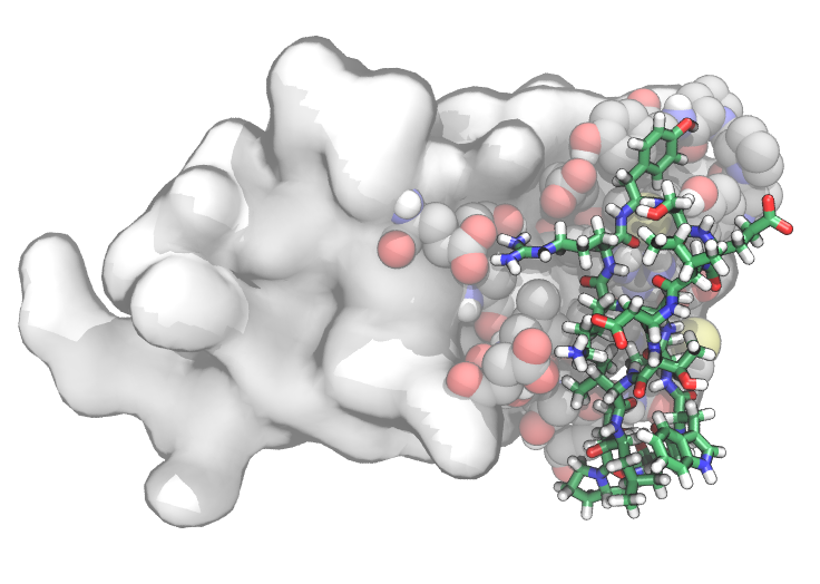 Publication 1 Thumbnail