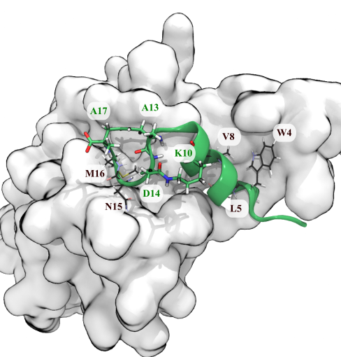 Publication 2 Thumbnail