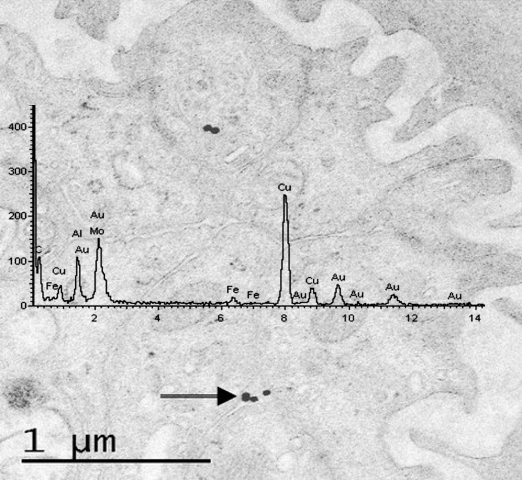 Publication 3 Thumbnail